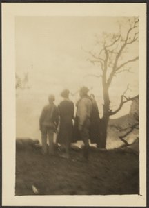 [Figuras en la sombra con árbol]
