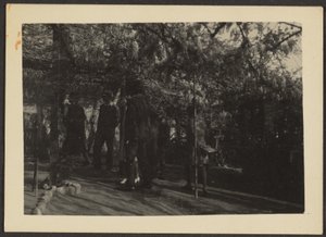 [Figuras en el bosque]