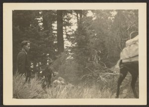 [Figuras en un paisaje boscoso]