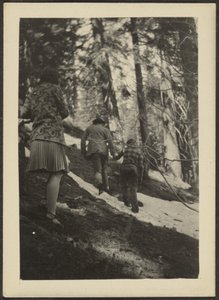 [Figuras en el bosque]