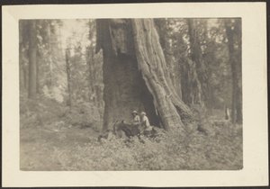 [Figuras a caballo en el hueco de un enorme árbol] de Louis Fleckenstein