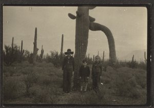 [Figuras con cactus]