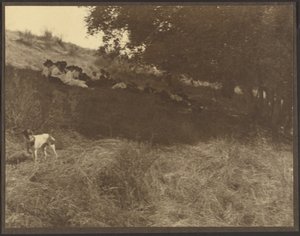 [Retrato de grupo descansando en el campo con un perro] de Louis Fleckenstein