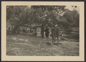 [Grupo en el parque]