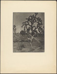 Inspiración de la danza
