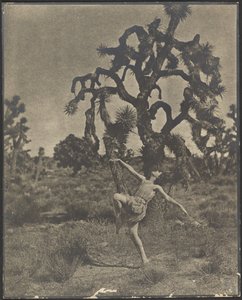 de Louis Fleckenstein