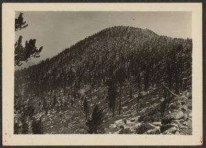 [Jean Peak de Trail] de Louis Fleckenstein