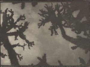  de Louis Fleckenstein
