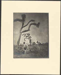  de Louis Fleckenstein