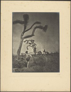  de Louis Fleckenstein