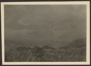 [Paisaje] de Louis Fleckenstein