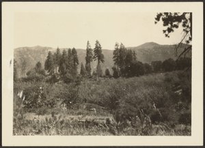 [Paisaje]