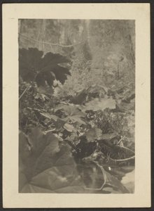 [Paisaje] de Louis Fleckenstein