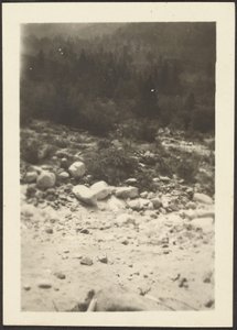 [Paisaje] de Louis Fleckenstein