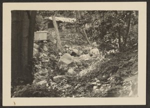 [Paisaje] de Louis Fleckenstein
