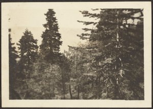 [Paisaje] de Louis Fleckenstein