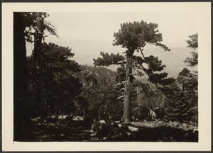 [Paisaje] de Louis Fleckenstein