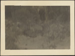 [Paisaje] de Louis Fleckenstein