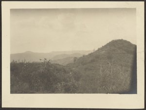 [Paisaje] de Louis Fleckenstein