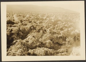 [Paisaje] de Louis Fleckenstein