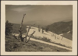 [Paisaje] de Louis Fleckenstein