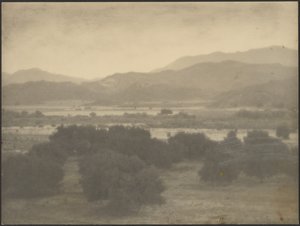 [Paisaje con árboles bajos] de Louis Fleckenstein