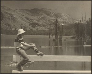 [Hombre sentado en un banco junto al lago] de Louis Fleckenstein