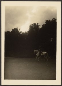 [Hombre a caballo con árboles oscuros y cielo claro]. de Louis Fleckenstein