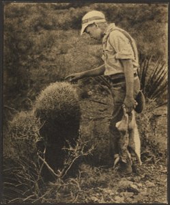  de Louis Fleckenstein