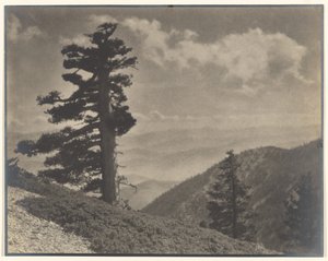 [En Ridge a Old Baldy]