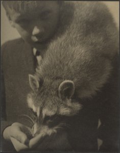 [Retrato de un niño dando de comer a un mapache] de Louis Fleckenstein