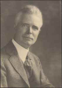 [Retrato de un hombre con corbata manchada] de Louis Fleckenstein