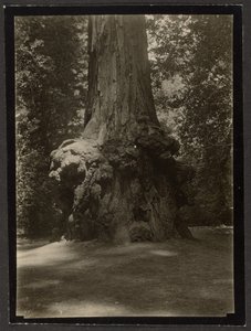  de Louis Fleckenstein