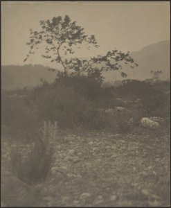 [Paisaje rocoso] de Louis Fleckenstein