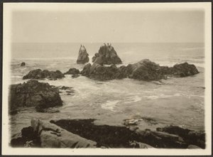 [Seascape]