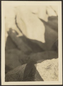 [Zapato en las rocas] de Louis Fleckenstein