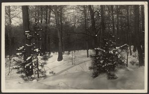 [Paisaje nevado] de Louis Fleckenstein