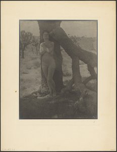  de Louis Fleckenstein