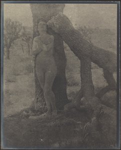  de Louis Fleckenstein