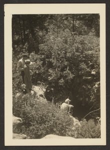 [Primavera en Fern Valley]