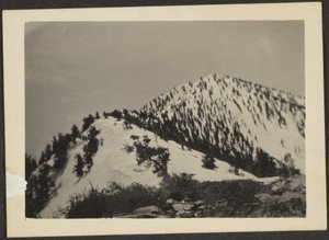 [Pico del Telescopio]