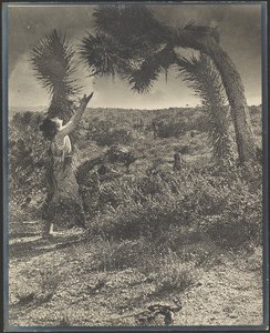 de Louis Fleckenstein