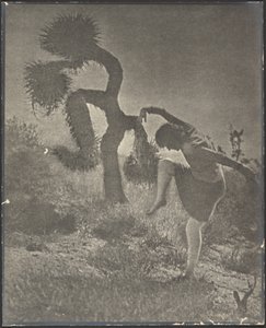  de Louis Fleckenstein