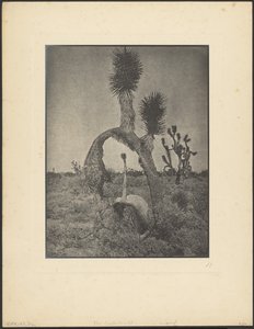  de Louis Fleckenstein
