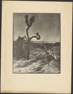  de Louis Fleckenstein
