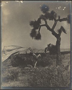  de Louis Fleckenstein