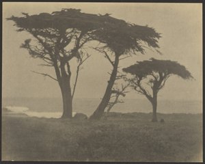  de Louis Fleckenstein