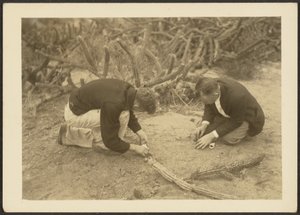 [Dos hombres y un cactus]