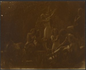 Lirios de agua de Louis Fleckenstein