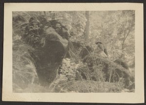 [Mujer sobre rocas en el bosque]